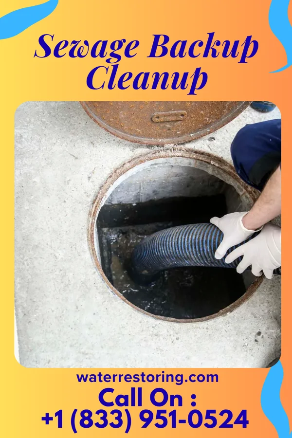 Sewage Backup Cleanup in Independent Hill, VA