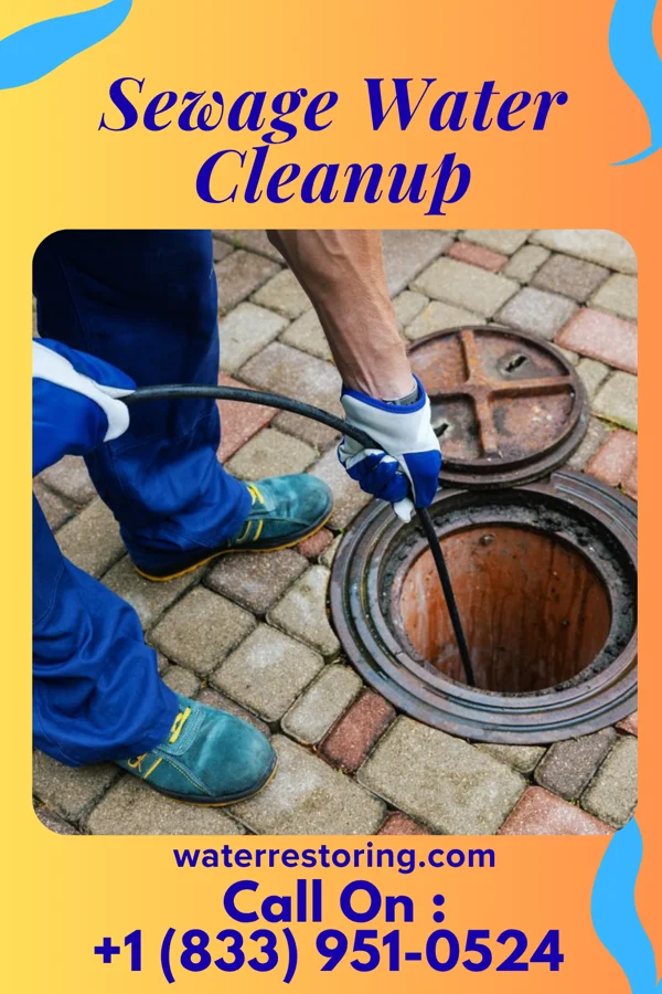 Sewage Water Cleanup in Independent Hill, VA