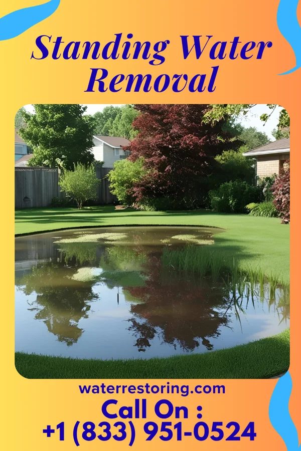 Standing Water Removal in Independent Hill, VA